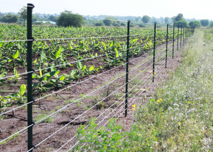 Agri Electrified Fencing